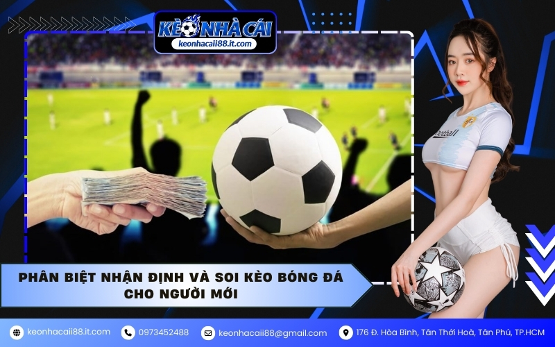 Phân biệt nhận định và soi kèo bóng đá cho người mới